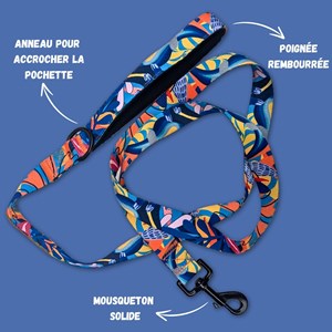 Laisse pour chien lagon - m