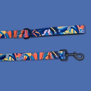 Laisse pour chien lagon - m