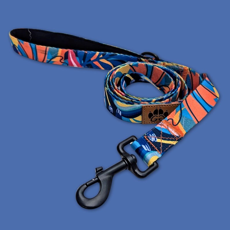 Goofy Goldens - Laisse pour chien lagon - l