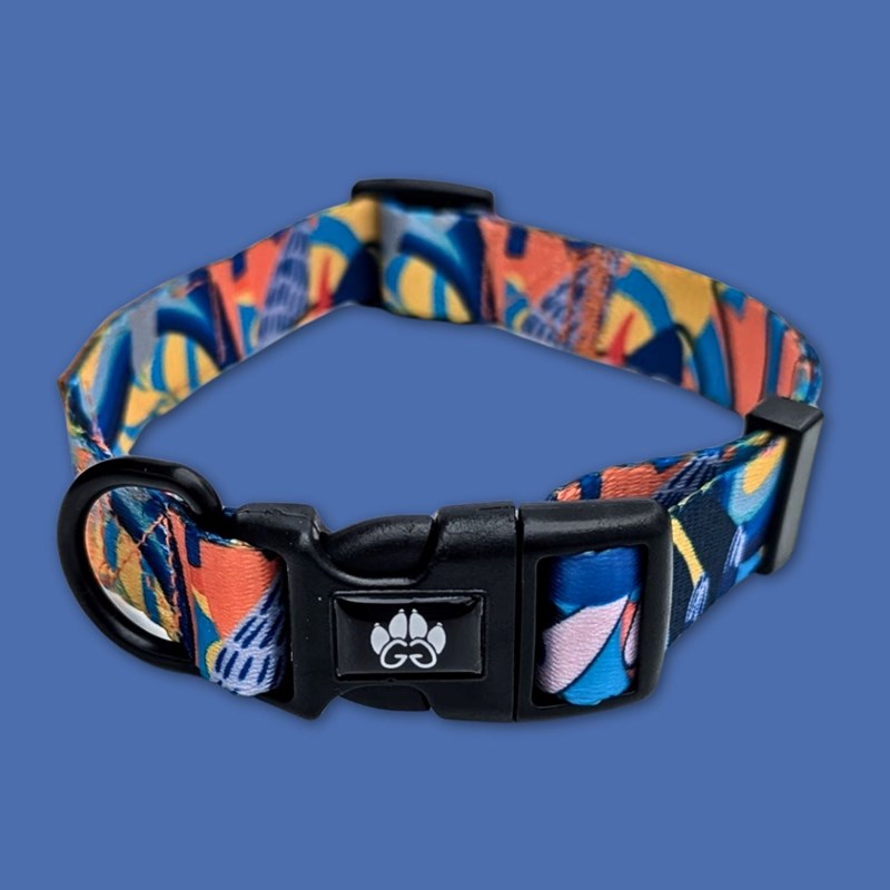 Collier pour chien lagon - m