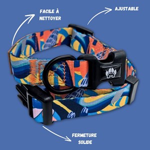 Collier pour chien lagon - l