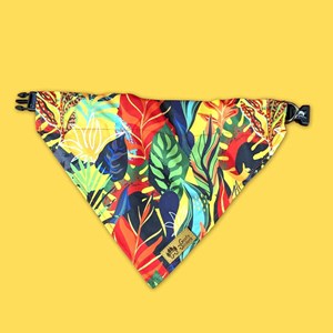 Collier-bandana pour chien tropical - l