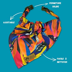 Collier-bandana pour chien panache - s