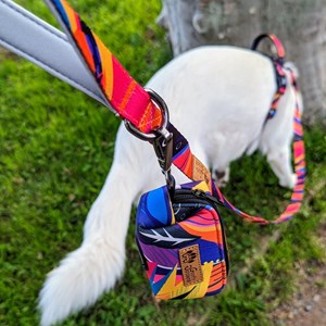 Pochette sacs à déjections panache