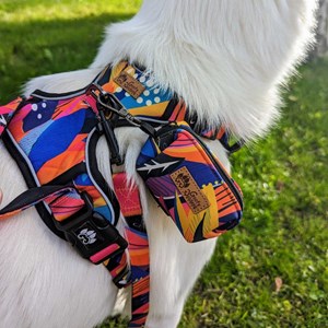 Pochette sacs à déjections panache