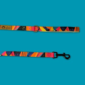 Laisse pour chien panache - m