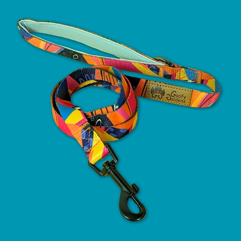 Goofy Goldens - Laisse pour chien panache - l