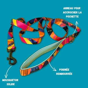 Laisse pour chien panache - l