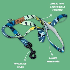 Laisse pour chien récif - m