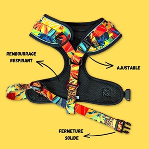 Harnais pour chien tropical - m