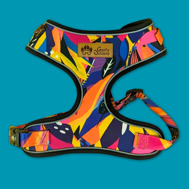 Goofy Goldens - Harnais pour chien panache - m