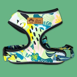 Harnais pour chien récif - xl