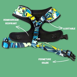 Harnais pour chien récif - xl
