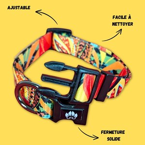 Collier pour chien tropical - s