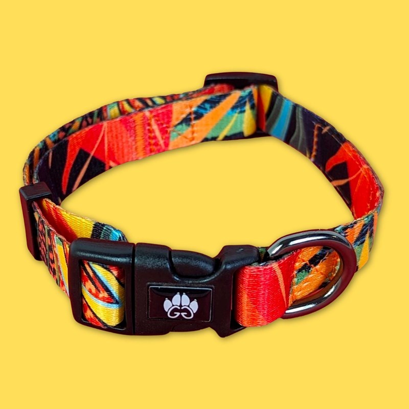 Goofy Goldens - Collier pour chien tropical - l
