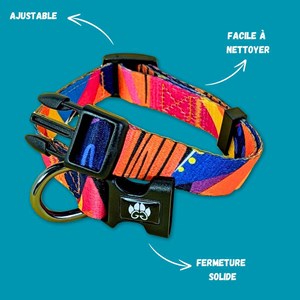 Collier pour chien panache - s