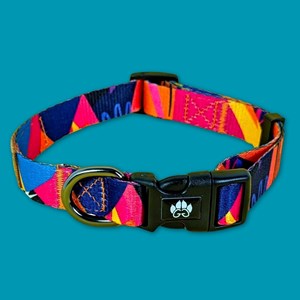 Collier pour chien panache - l