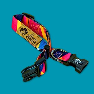 Collier pour chien panache - l