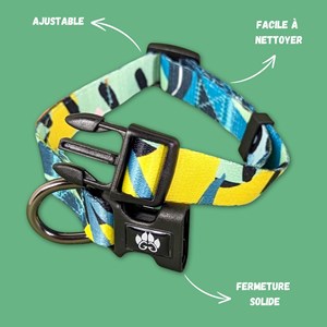 Collier pour chien récif - m