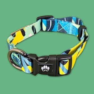 Collier pour chien récif - l