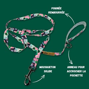 Laisse pour chien cactus - m