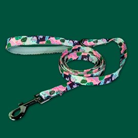 Laisse pour chien cactus - l