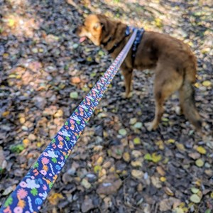 Laisse pour chien deep agua - l