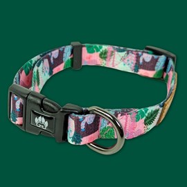 Collier pour chien cactus - m