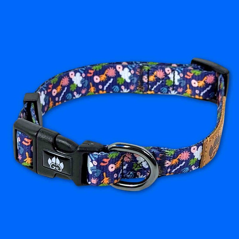 Collier pour chien deep agua - m