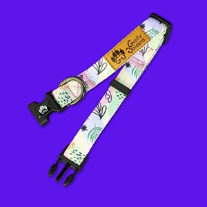 Collier pour chien pastel - s