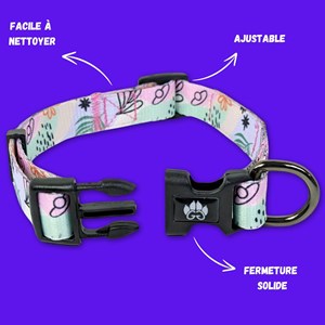 Collier pour chien pastel - m