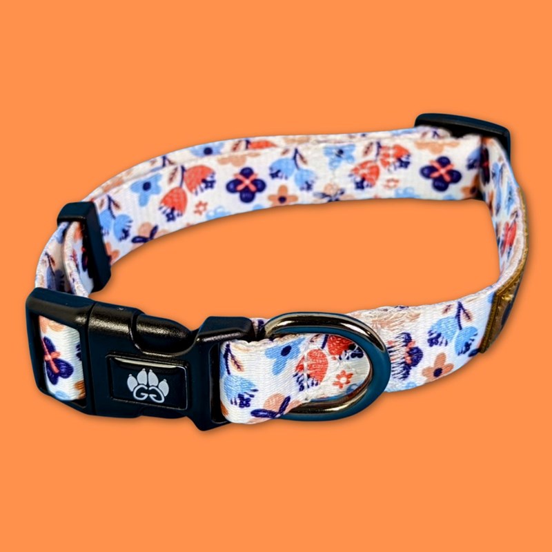 Goofy Goldens - Collier pour chien printemps - s