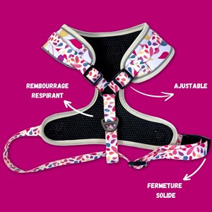 Harnais pour chien pétales - xl