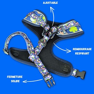 Harnais pour chien deep agua - m