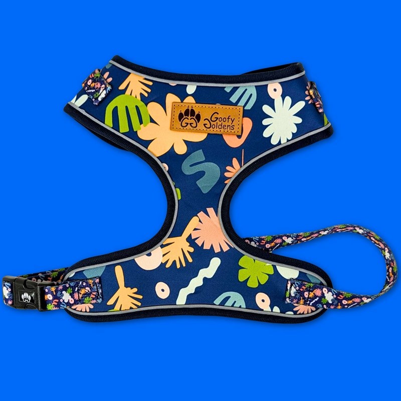 Harnais pour chien deep agua - xl