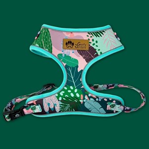 Harnais pour chien cactus - l