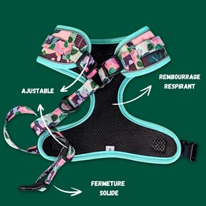 Harnais pour chien cactus - xl