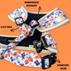 Harnais pour chien printemps - xl