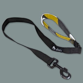 Laisse de ville pour chien elégant