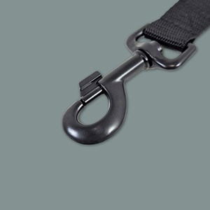 Laisse de ville pour chien elégant