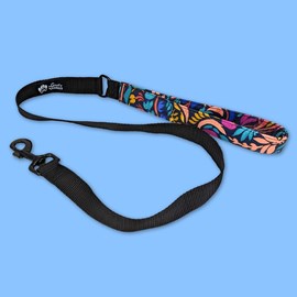 Laisse de ville pour chien envoûtant