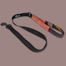 Laisse de ville pour chien automne