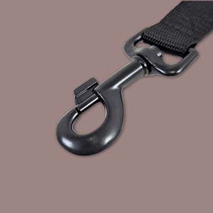 Laisse de ville pour chien automne