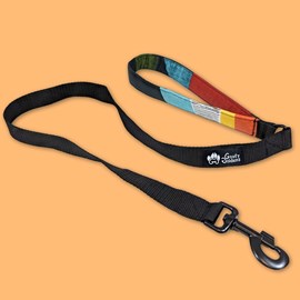 Laisse de ville pour chien summer