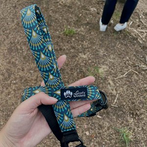 Laisse de ville pour chien paon