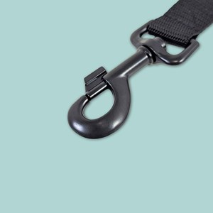 Laisse de ville pour chien paon