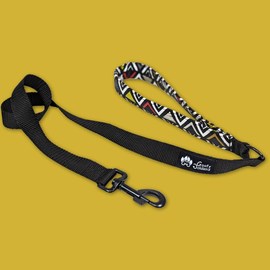 Laisse de ville pour chien aztèque