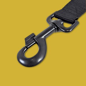 Laisse de ville pour chien aztèque