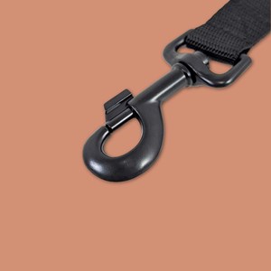 Laisse de ville pour chien nature