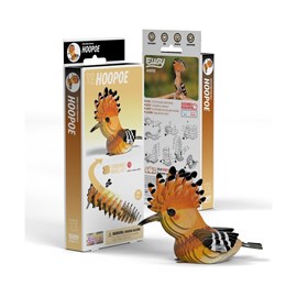 Huppé fasciée – eugy 3d